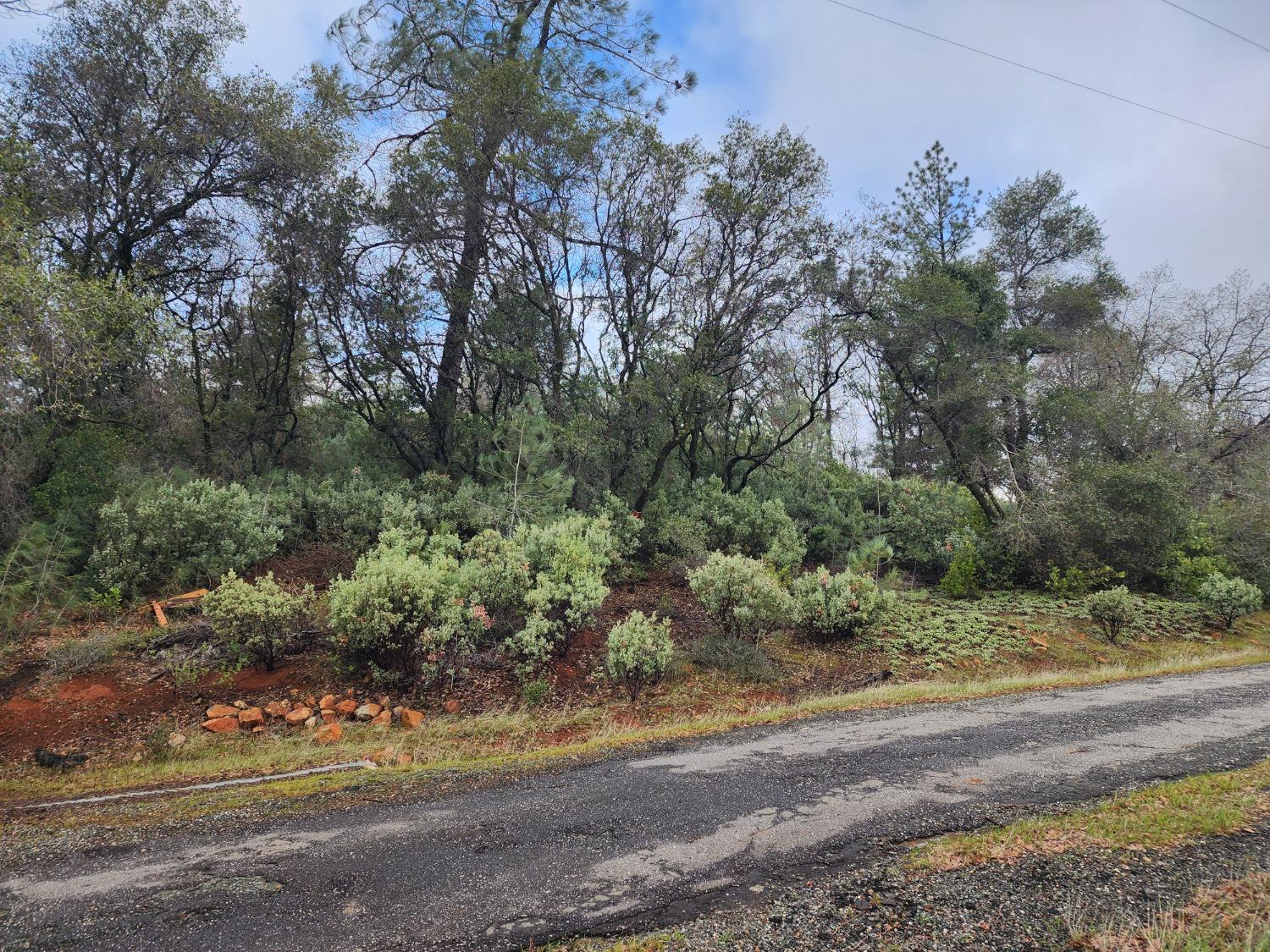 Stellar Road, Grass Valley, California image 20