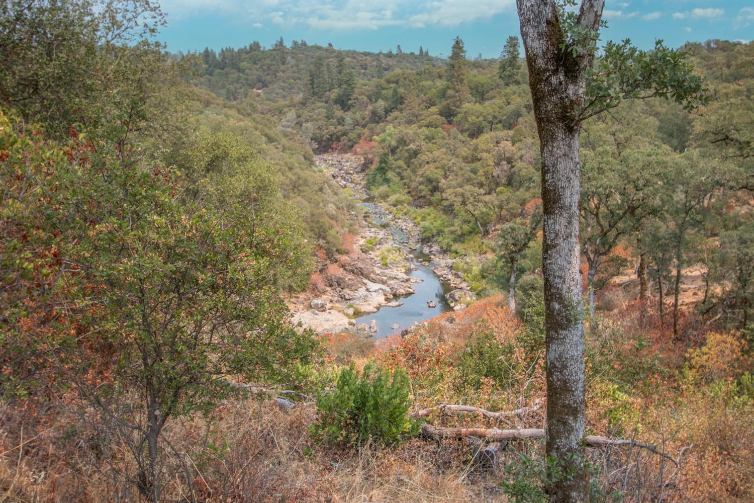 Photo of Bear River Ln in Auburn, CA