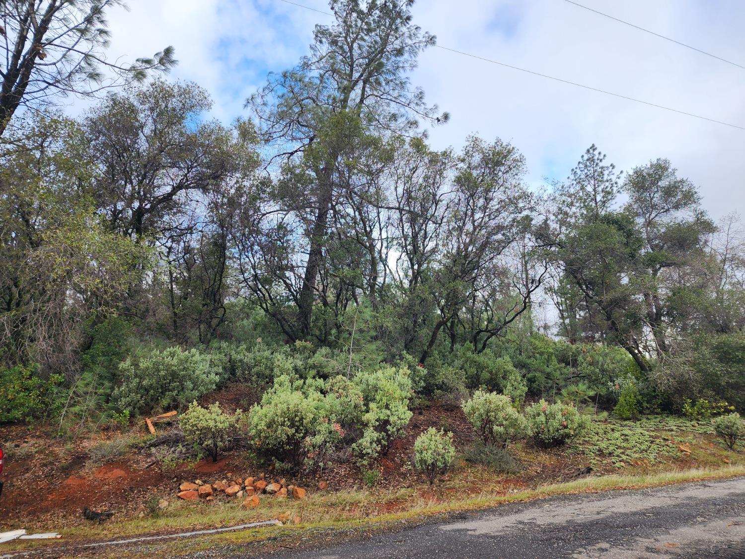 Stellar Road, Grass Valley, California image 19