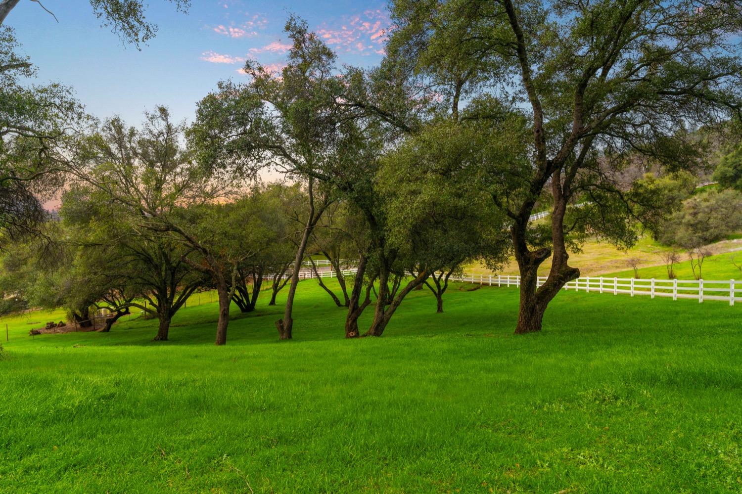 Haveture Way, Shingle Springs, California image 4