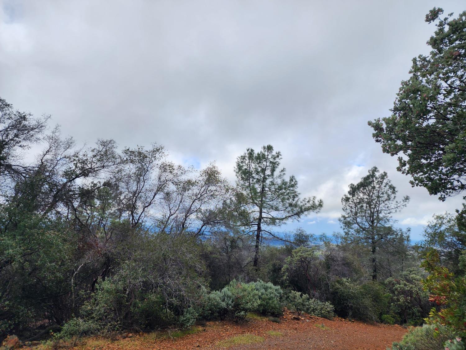 Stellar Road, Grass Valley, California image 3