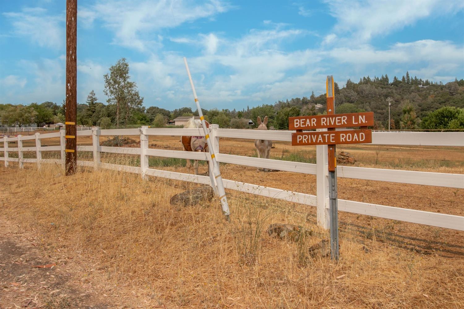 Detail Gallery Image 6 of 14 For 0 Bear River Lane, Auburn,  CA 95602 - – Beds | – Baths