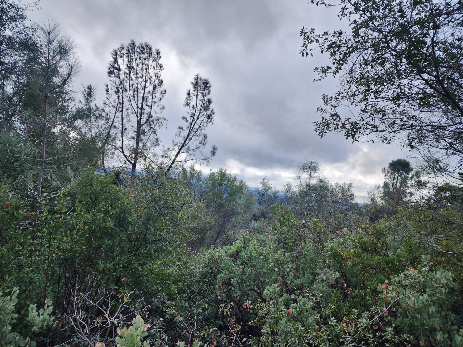 Stellar Road, Grass Valley, California image 17