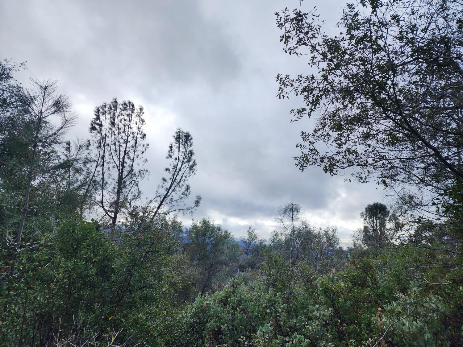 Stellar Road, Grass Valley, California image 18