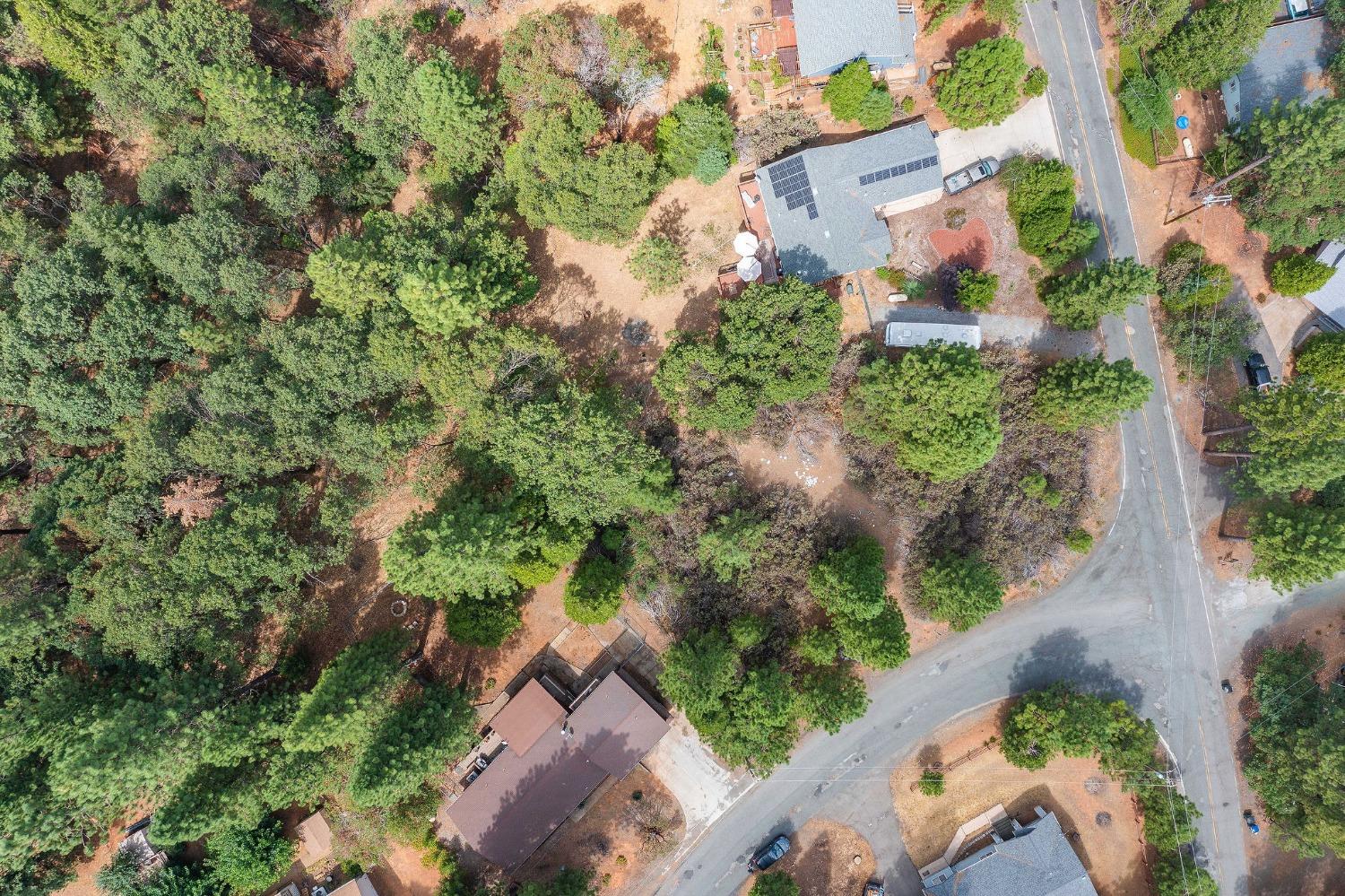 Ridge Drive, Pioneer, California image 12
