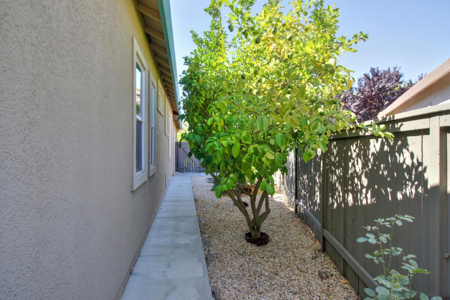 Detail Gallery Image 34 of 48 For 2817 Robinson Creek Ln, Elk Grove,  CA 95758 - 2 Beds | 2 Baths
