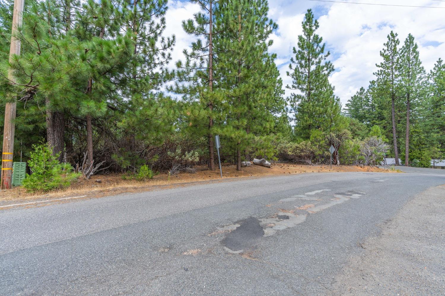 Ridge Drive, Pioneer, California image 6