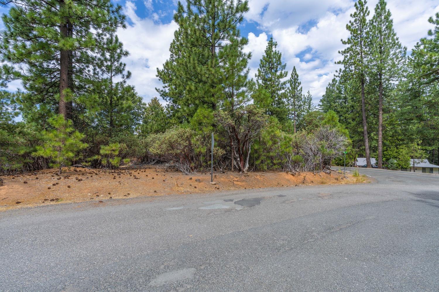 Ridge Drive, Pioneer, California image 3