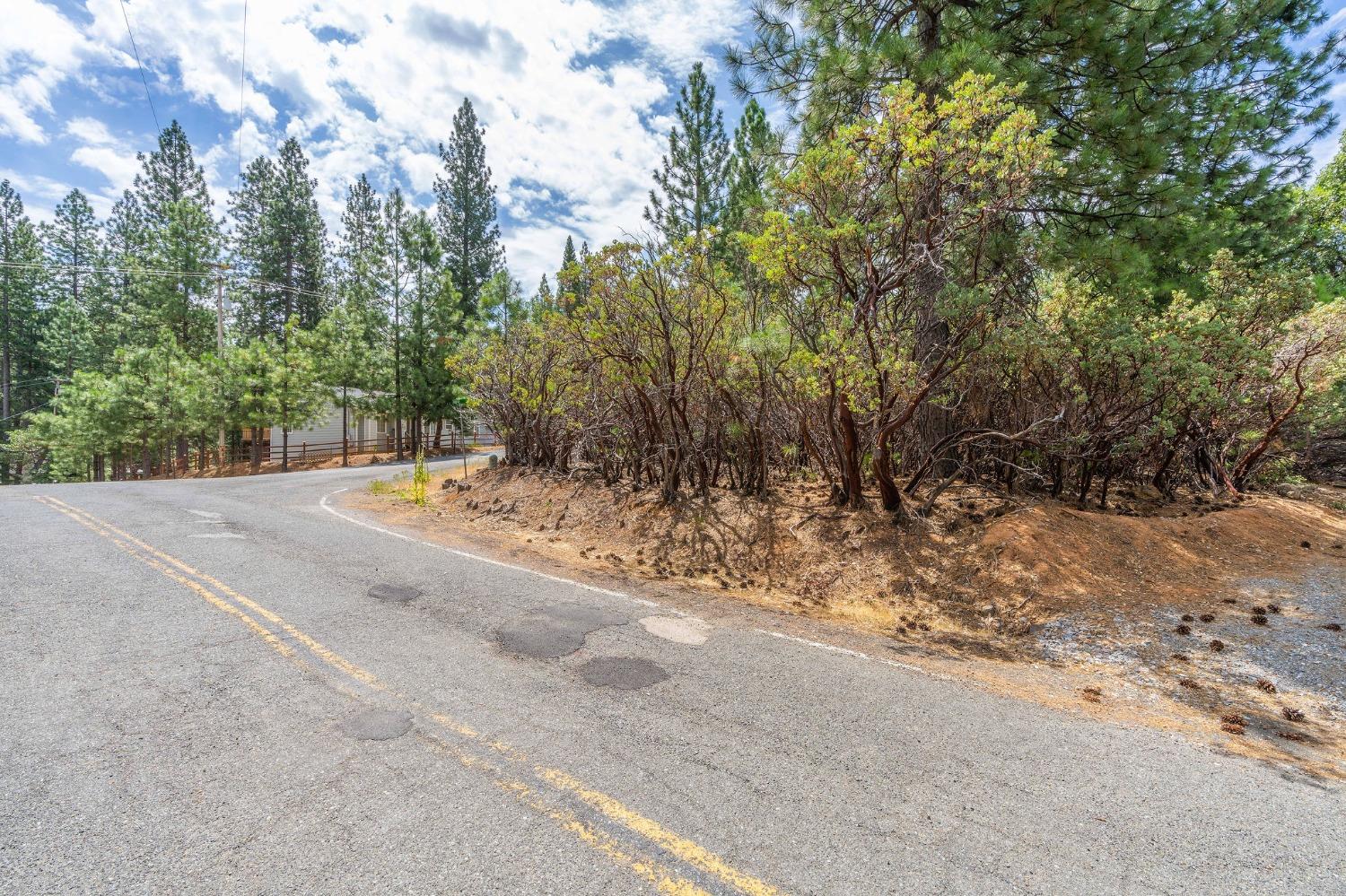 Ridge Drive, Pioneer, California image 10