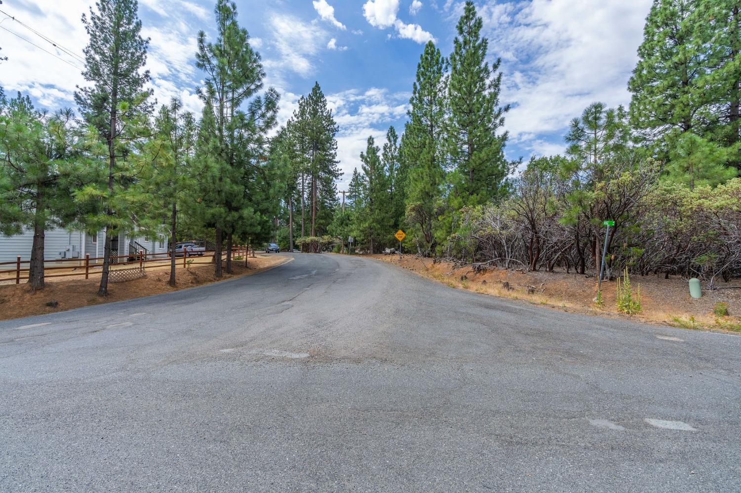 Ridge Drive, Pioneer, California image 8