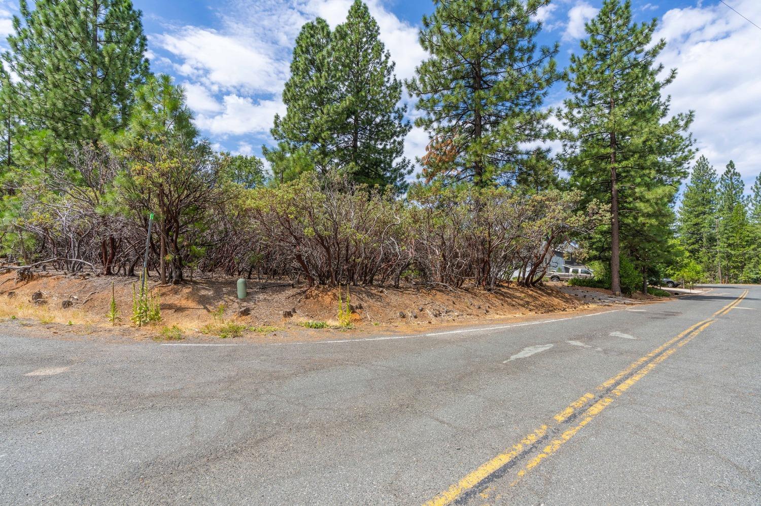 Ridge Drive, Pioneer, California image 5