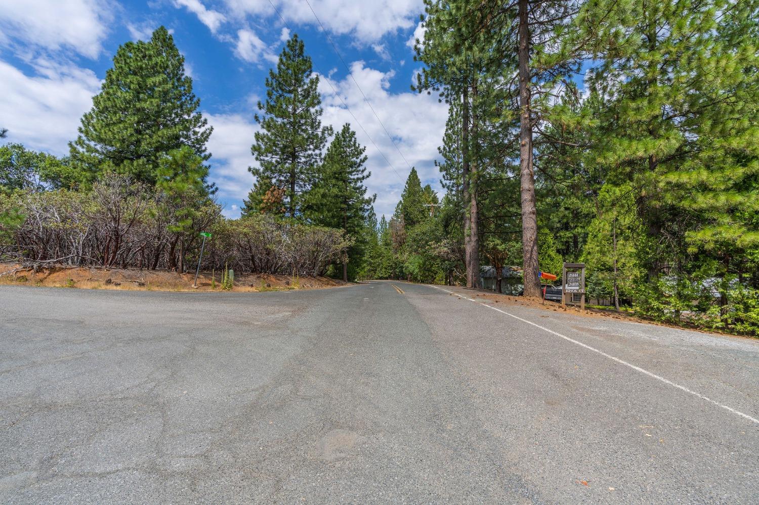 Ridge Drive, Pioneer, California image 9