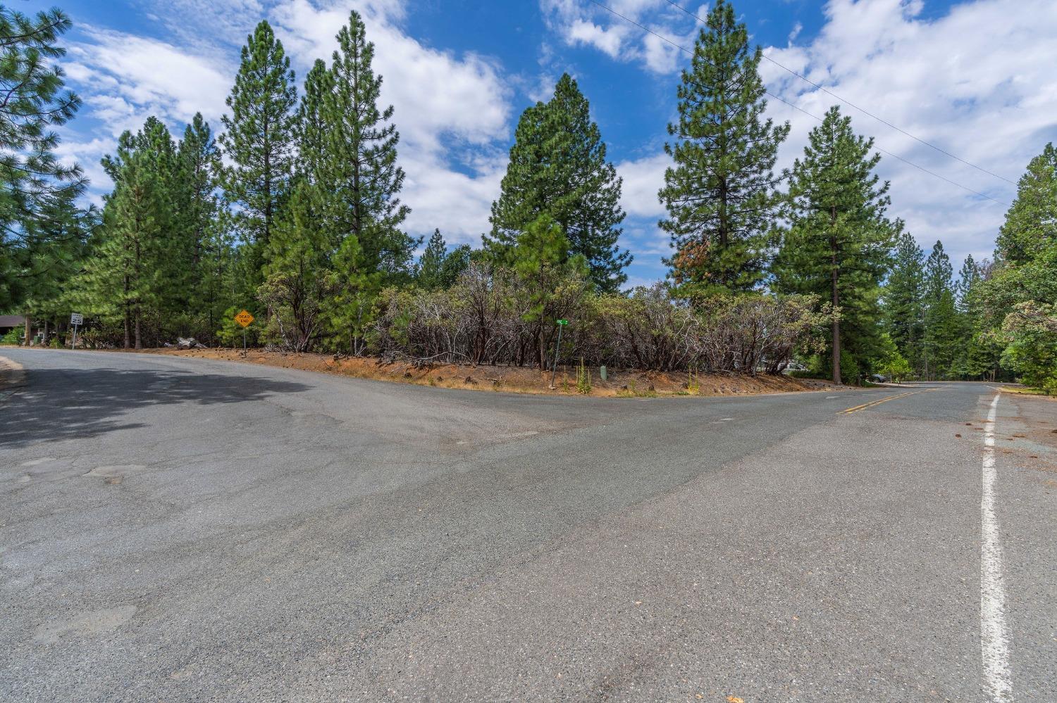 Ridge Drive, Pioneer, California image 4