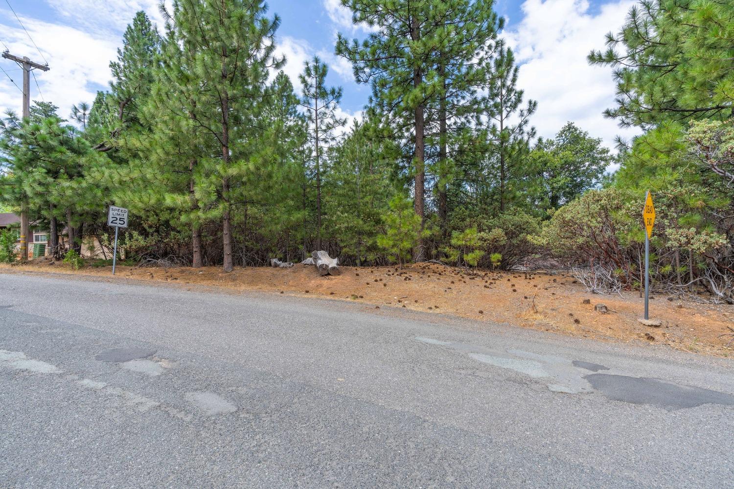 Ridge Drive, Pioneer, California image 7
