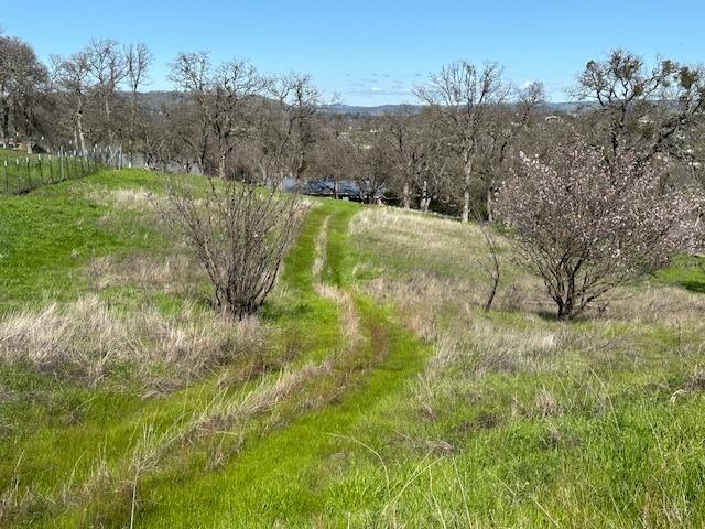 Hartvickson Lane, Valley Springs, California image 3