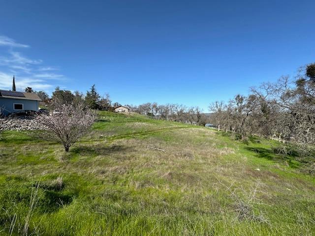 Hartvickson Lane, Valley Springs, California image 5