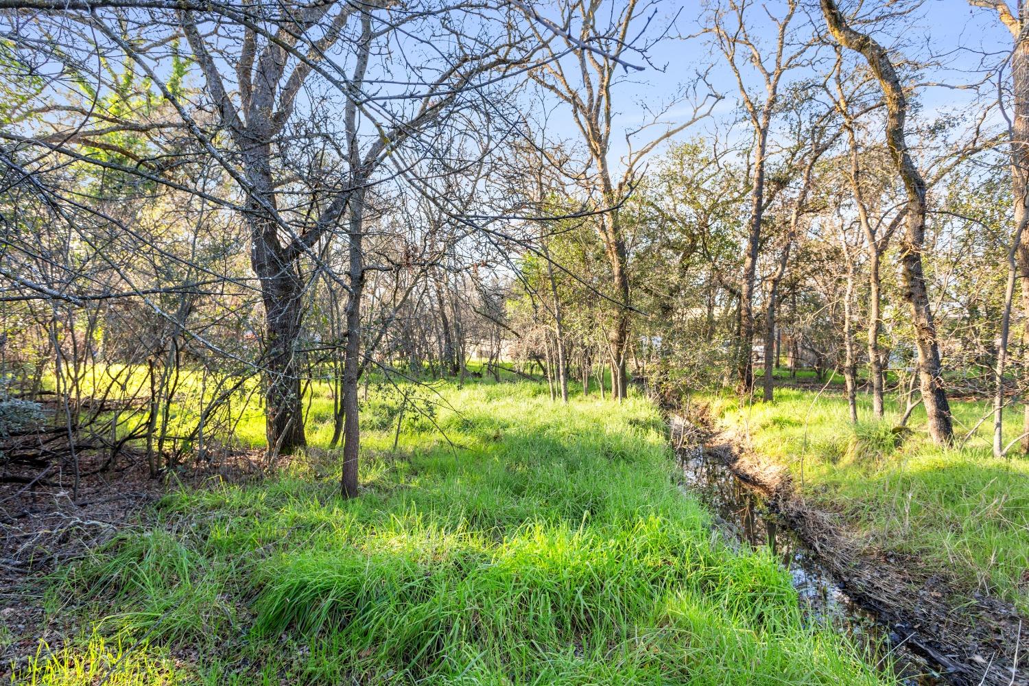 Birks Lane, Orangevale, California image 5