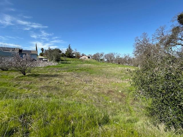 Hartvickson Lane, Valley Springs, California image 8