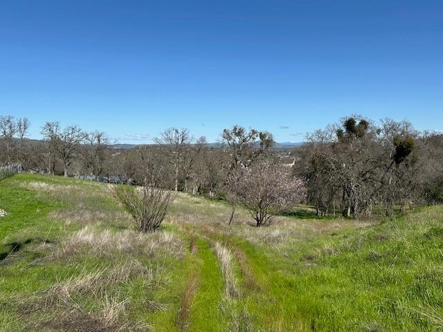 Hartvickson Lane, Valley Springs, California image 11