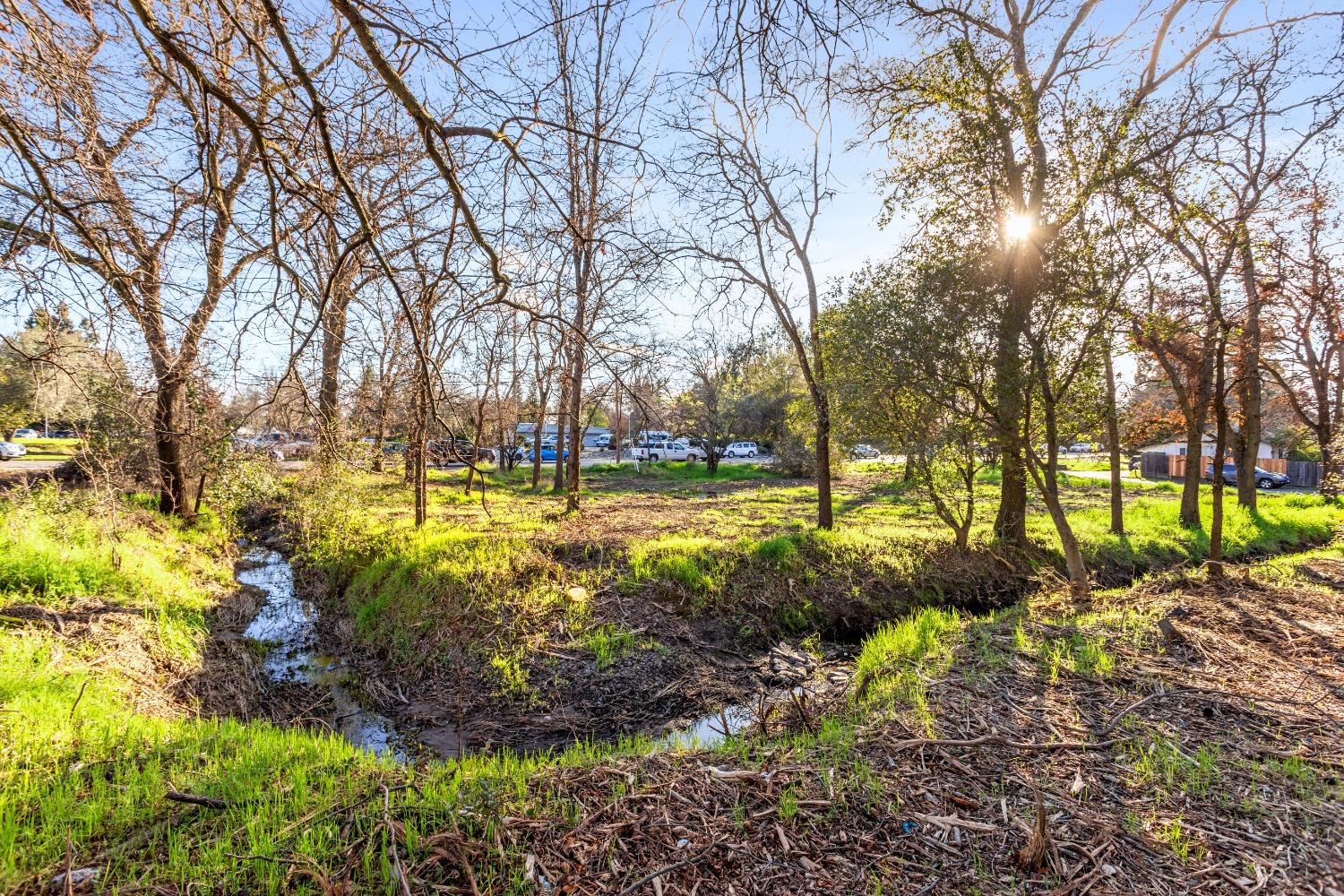 AC Greenback Lane, Orangevale, California image 8