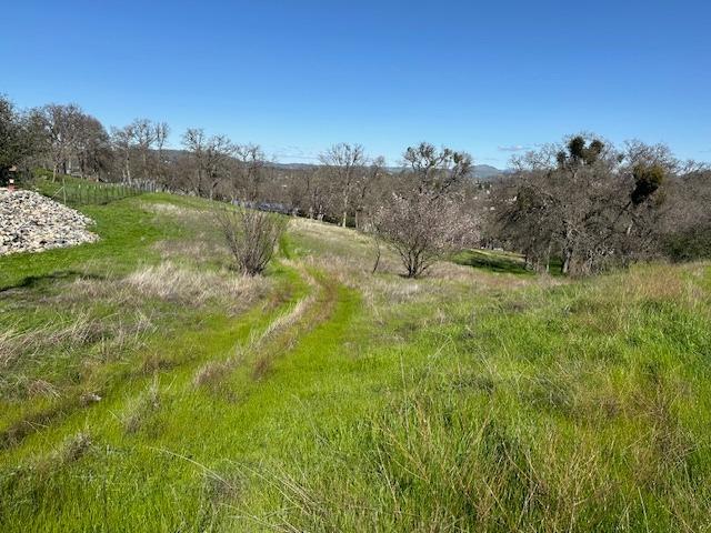 Hartvickson Lane, Valley Springs, California image 2