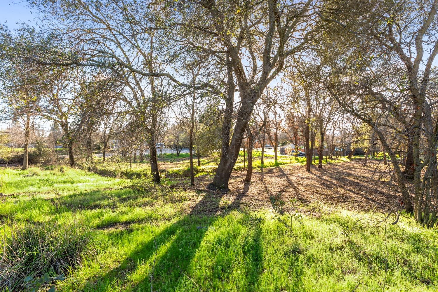 AC Greenback Lane, Orangevale, California image 9