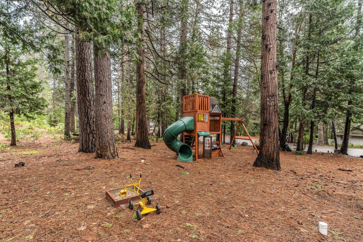Fairway Drive, Pioneer, California image 39