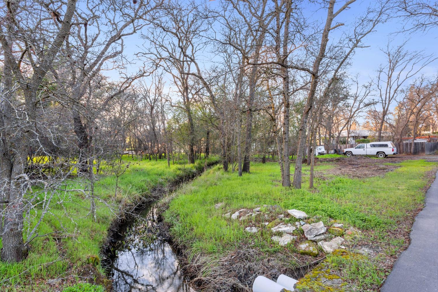 Birks Lane, Orangevale, California image 2