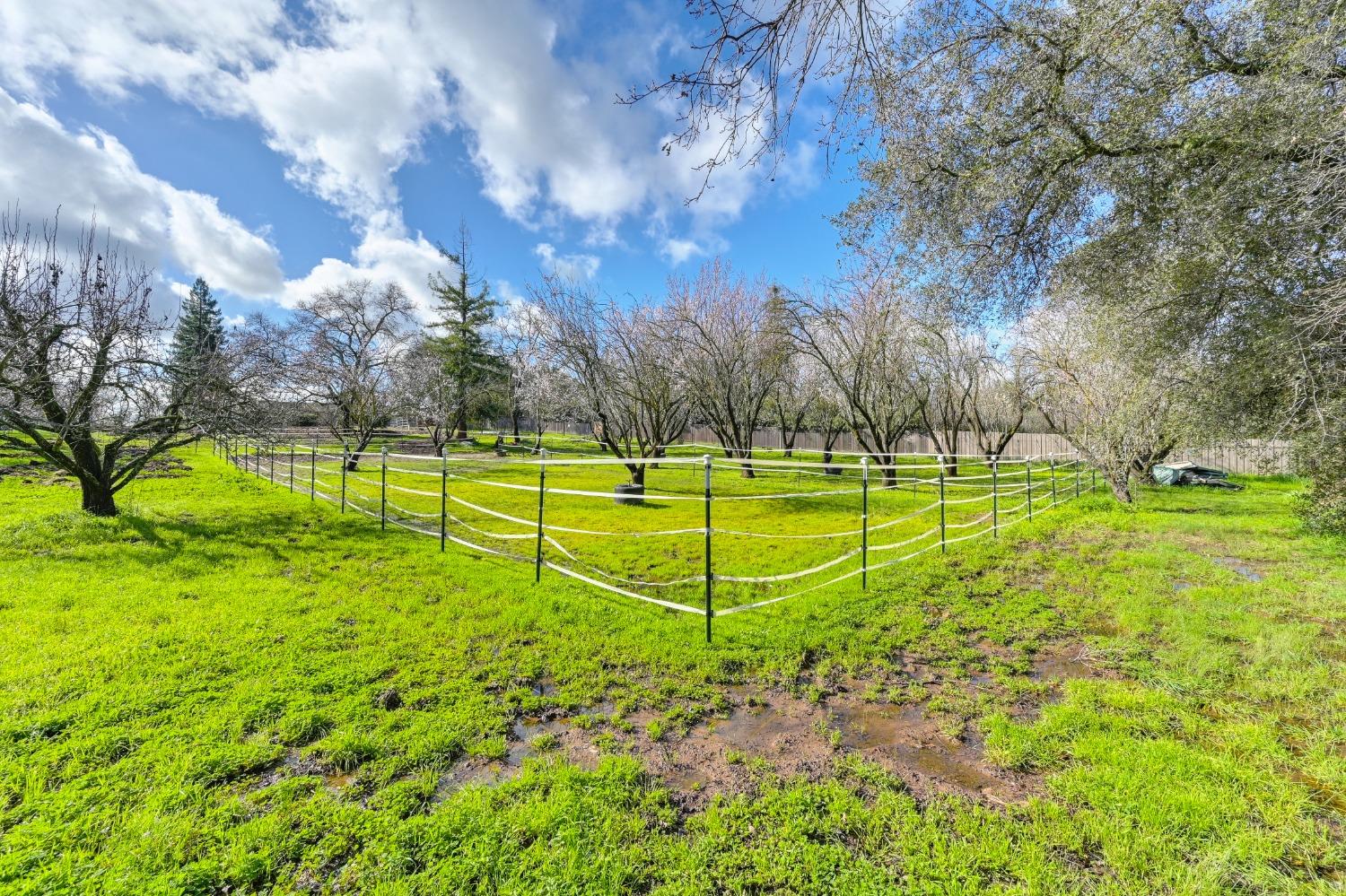 Oak Avenue, Orangevale, California image 44