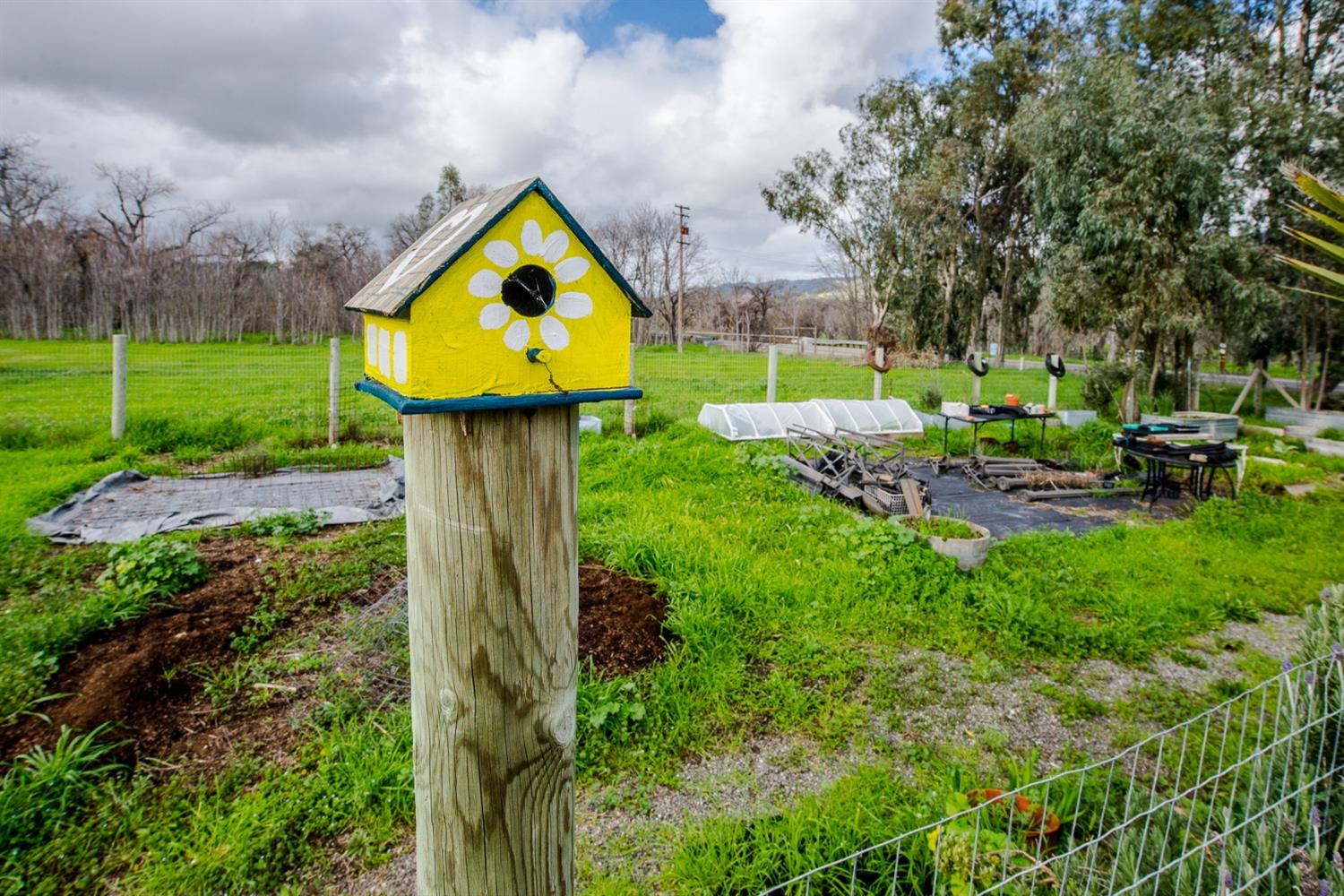 State Highway 16, Guinda, California image 31