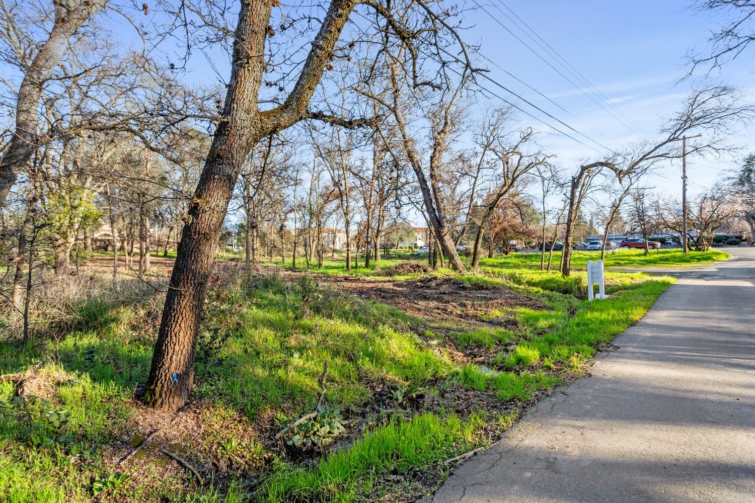 AC Greenback Lane, Orangevale, California image 13