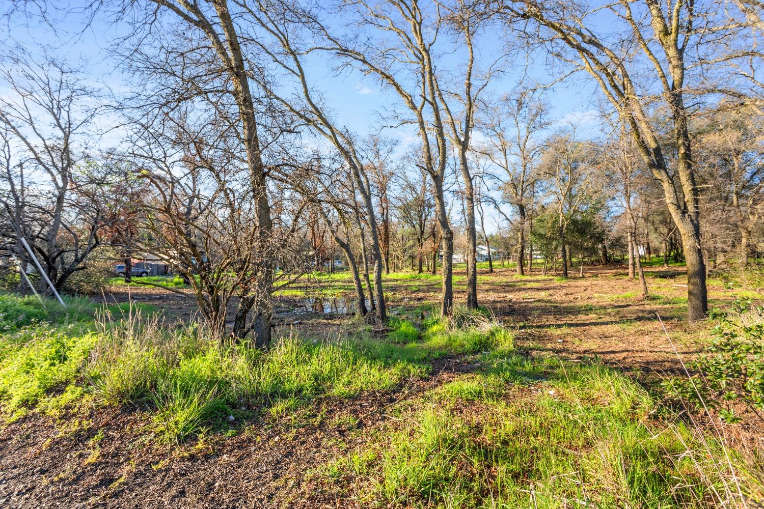 AC Greenback Lane, Orangevale, California image 6