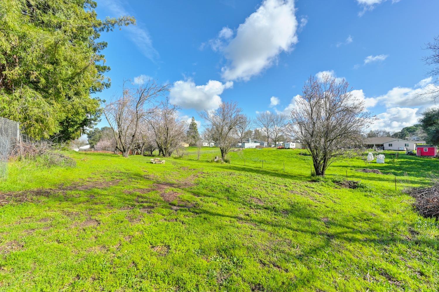 Oak Avenue, Orangevale, California image 50