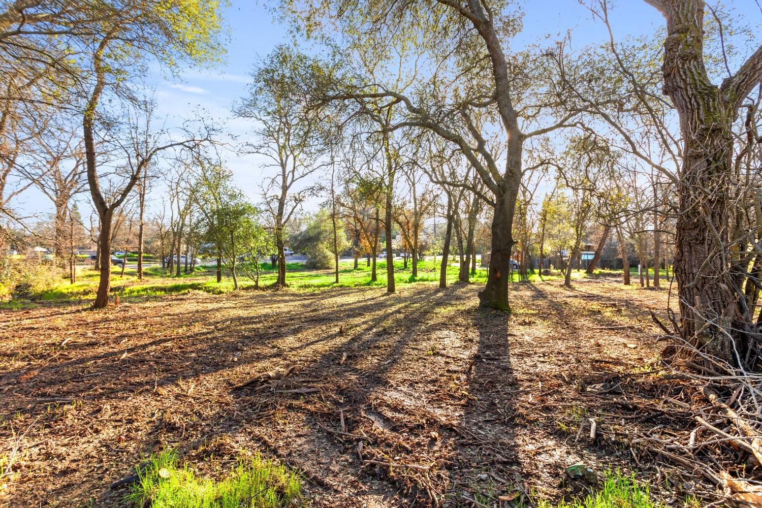 AC Greenback Lane, Orangevale, California image 10