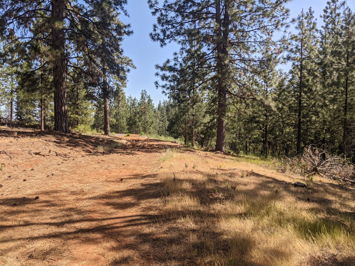 High View Lane, Weimar, California image 19