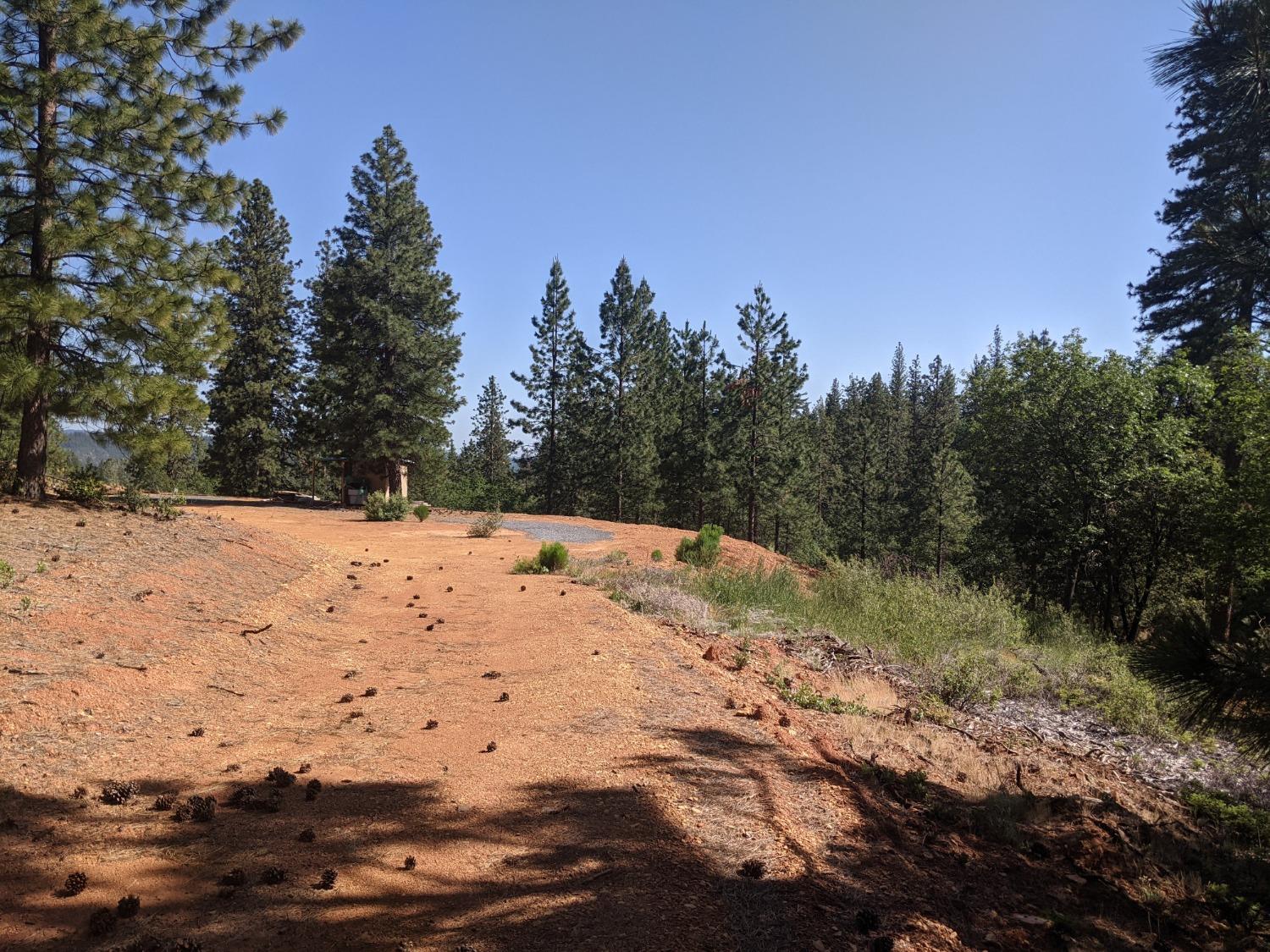 High View Lane, Weimar, California image 17