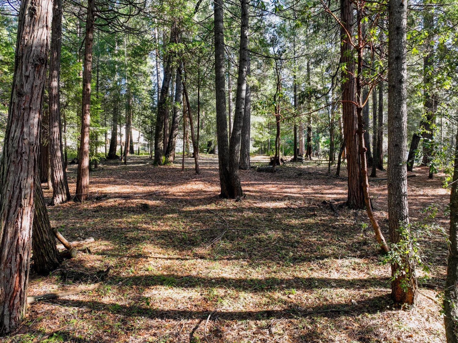 Detail Gallery Image 9 of 30 For 12043 Pasquale Rd, Nevada City,  CA 95959 - – Beds | – Baths