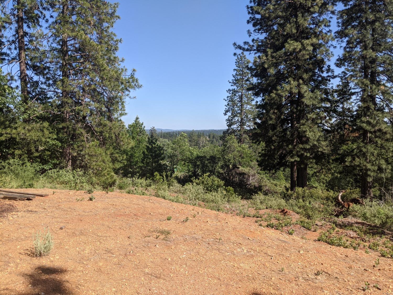 High View Lane, Weimar, California image 2