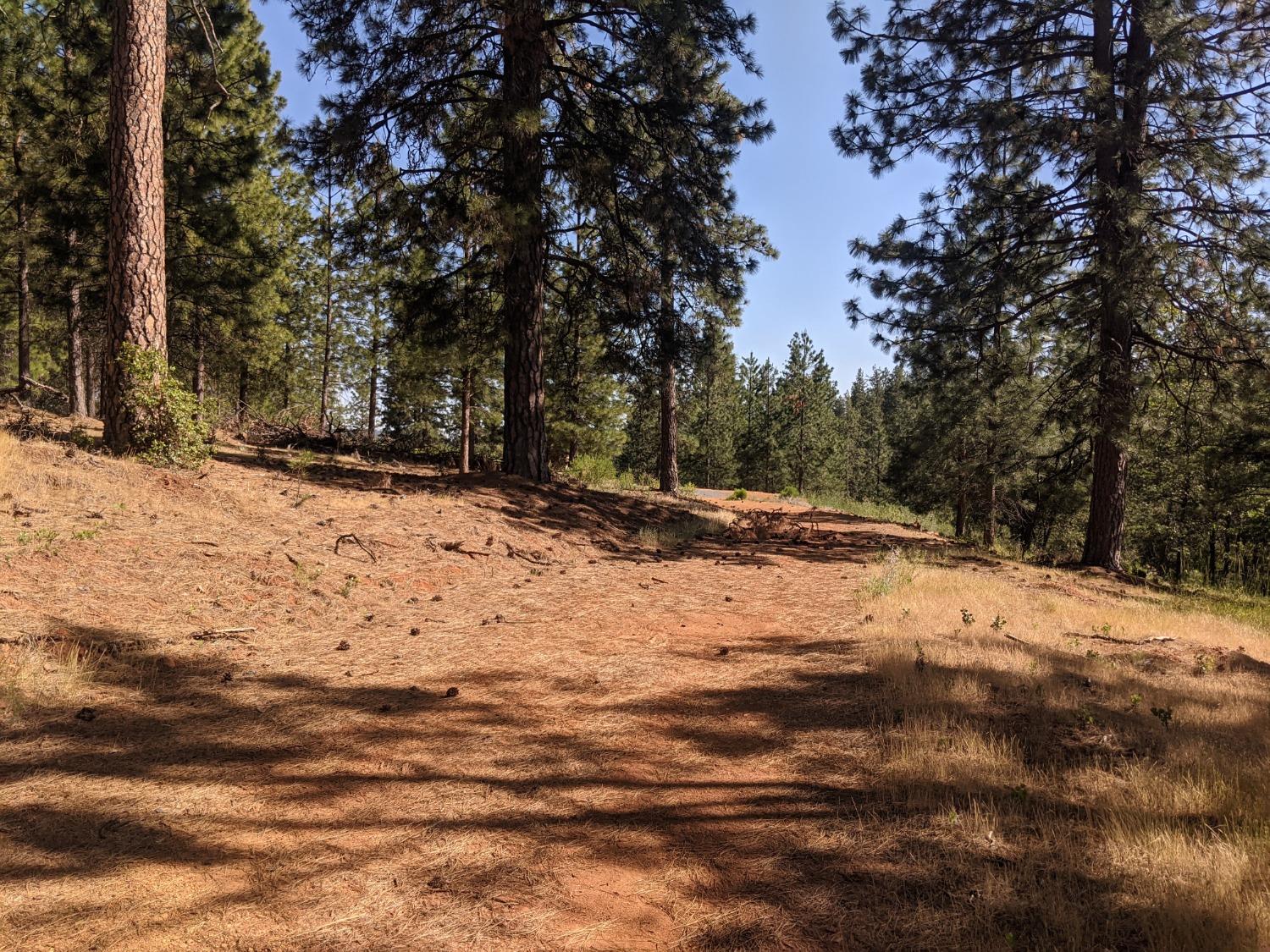 High View Lane, Weimar, California image 18