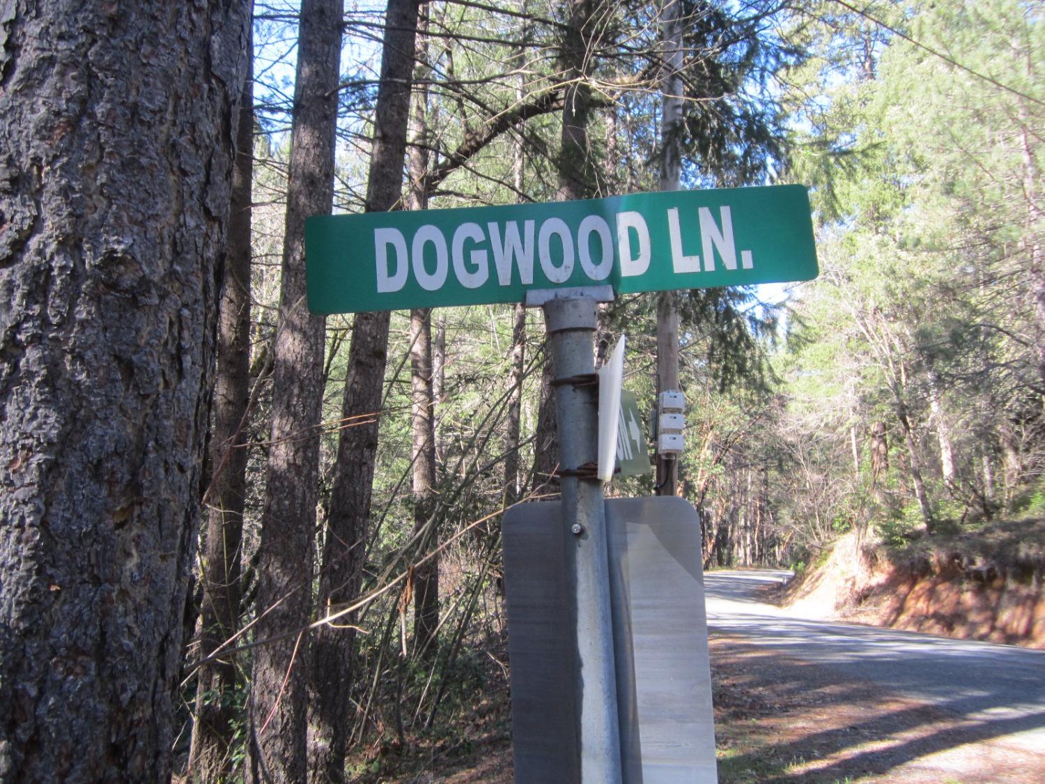 Dogwood Lane, Placerville, California image 3