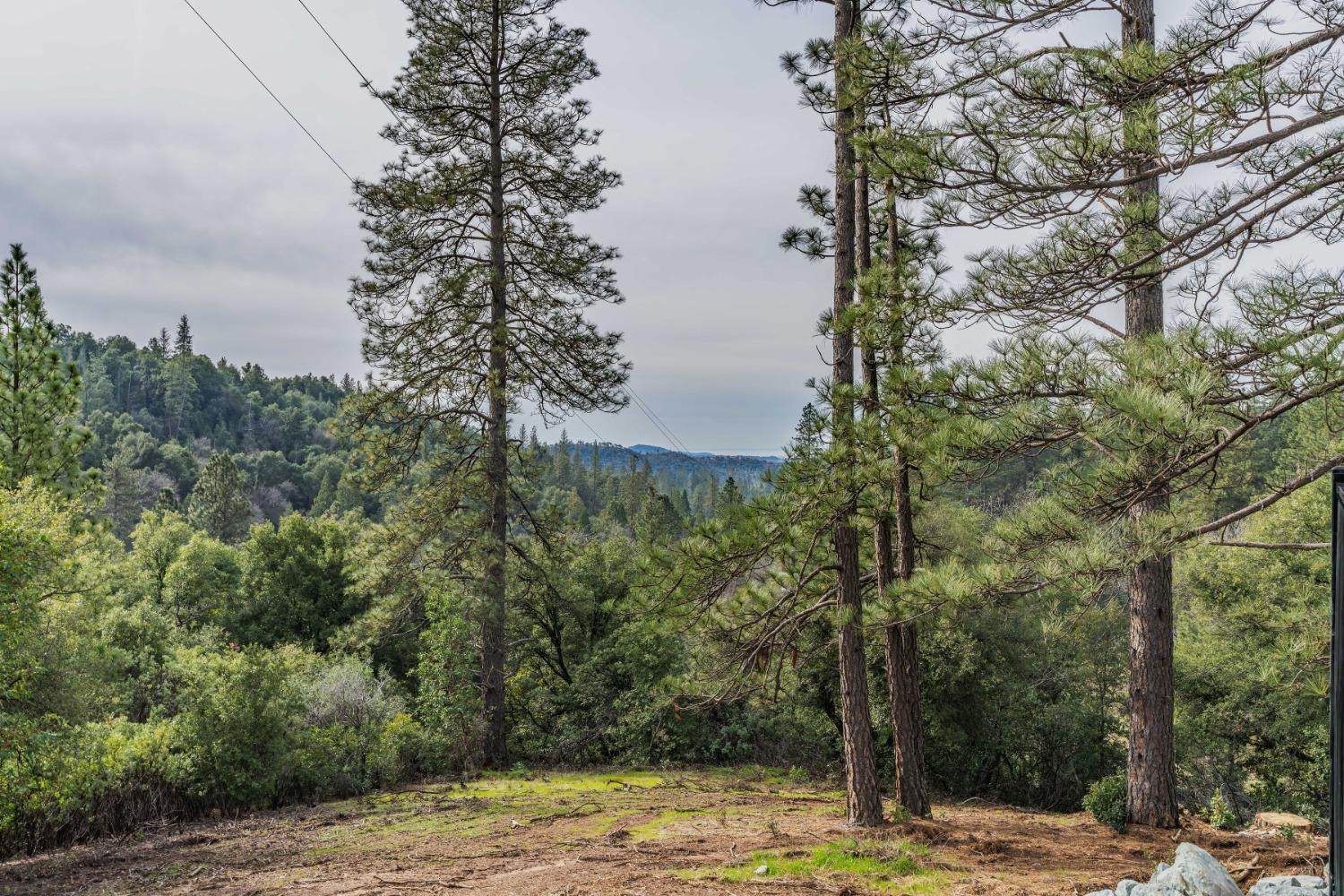 Petersen Ranch Drive, Pine Grove, California image 8