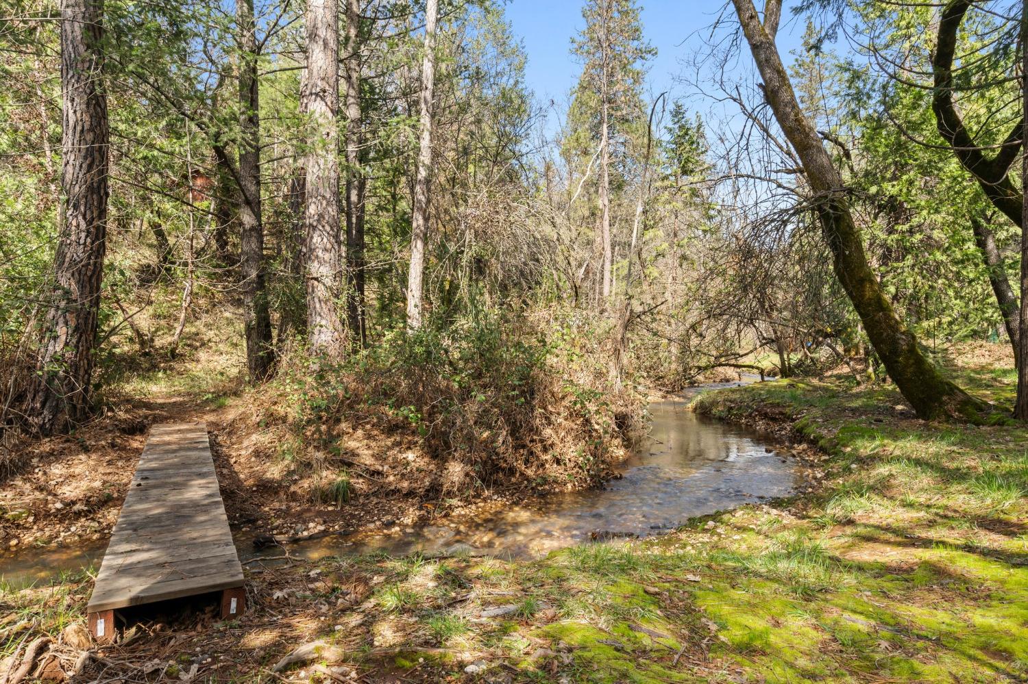 Baywood Court, Foresthill, California image 2