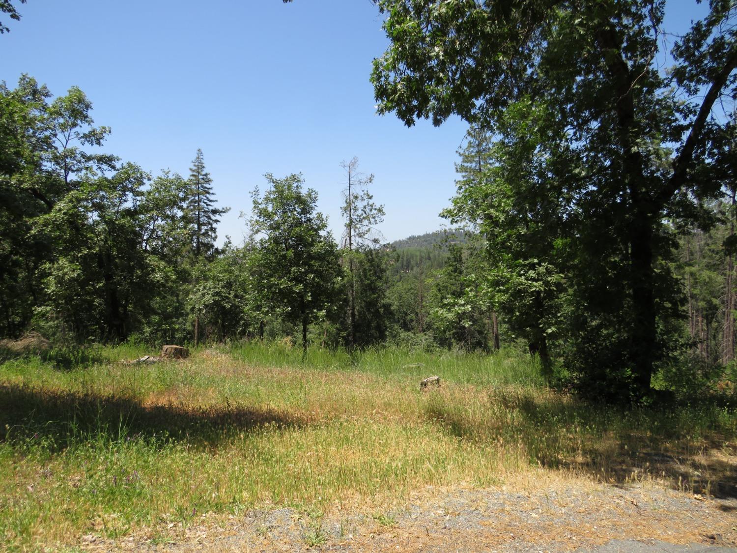 3.1 AC Barton Drive, Applegate, California image 7