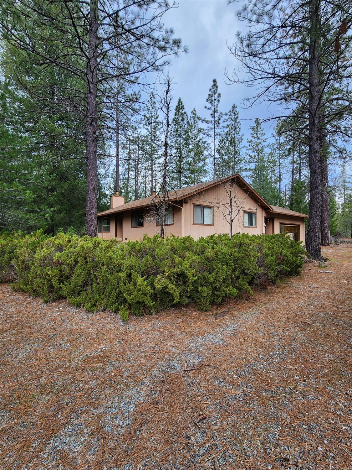 Detail Gallery Image 1 of 1 For 12889 Pine View Dr, Grass Valley,  CA 95945 - 3 Beds | 2 Baths