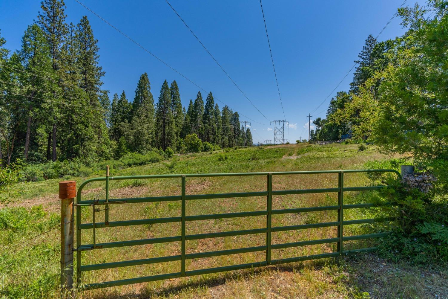 Williams Road, Pioneer, California image 21