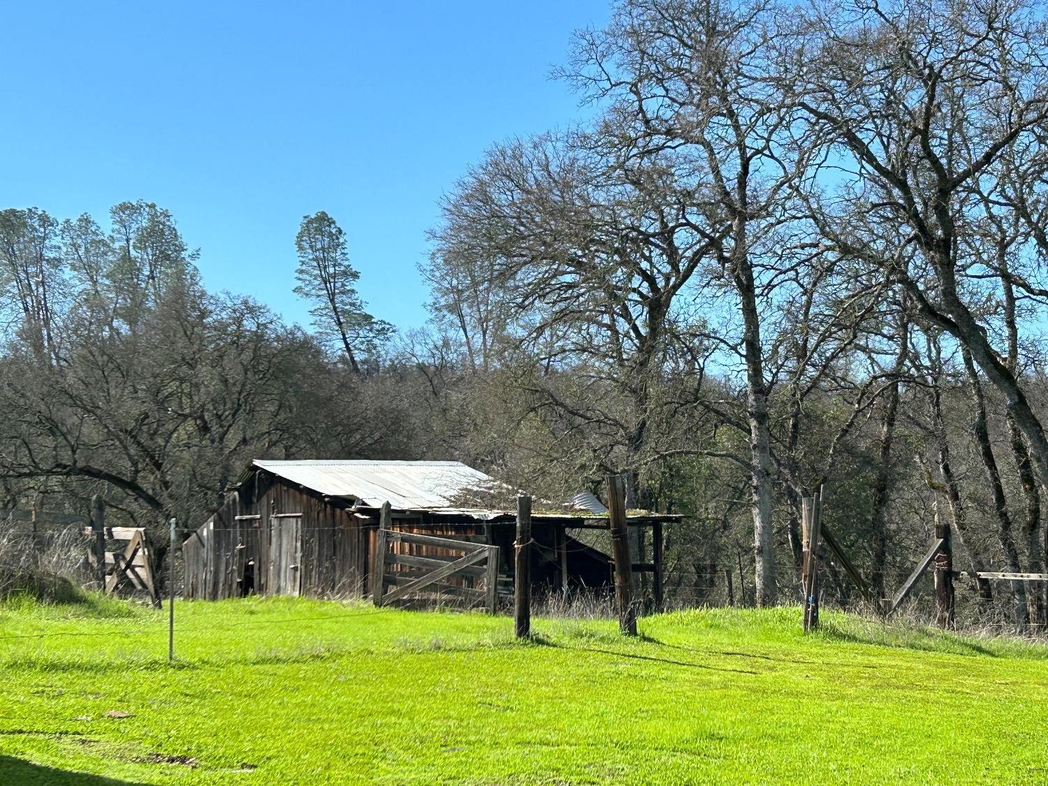 Oro Bangor Highway, Bangor, California image 36