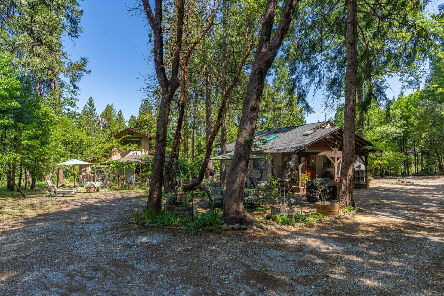 Williams Road, Pioneer, California image 12
