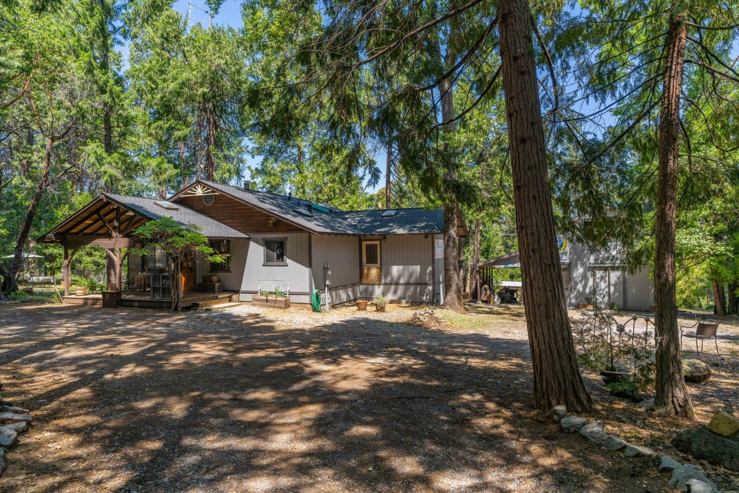 Williams Road, Pioneer, California image 8