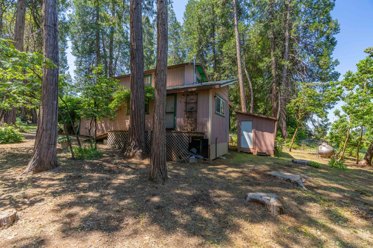 Williams Road, Pioneer, California image 19
