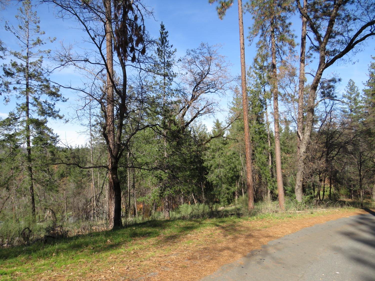 3.1 AC Barton Drive, Applegate, California image 25